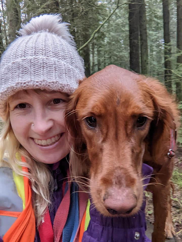 About Bark on the Beach