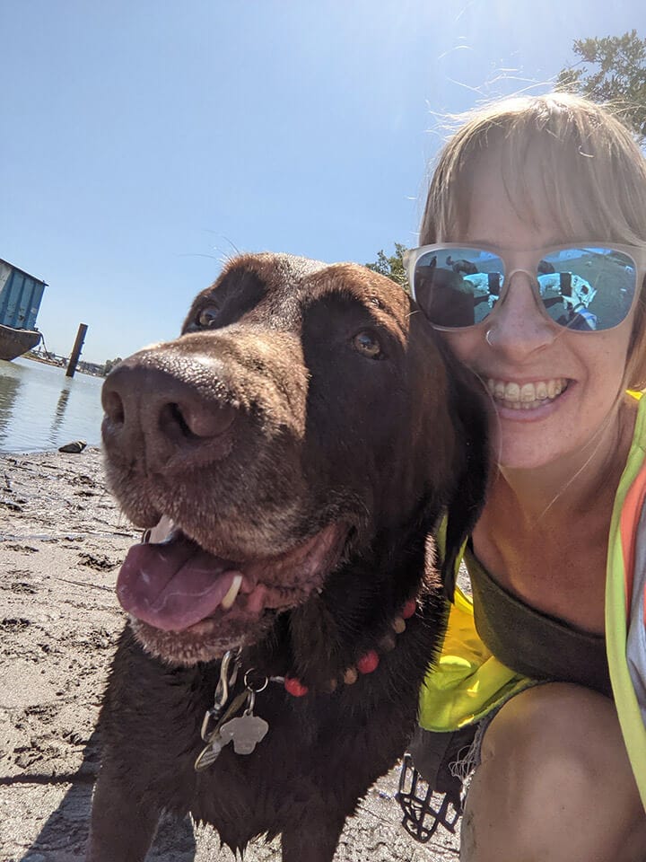 About Bark on the Beach