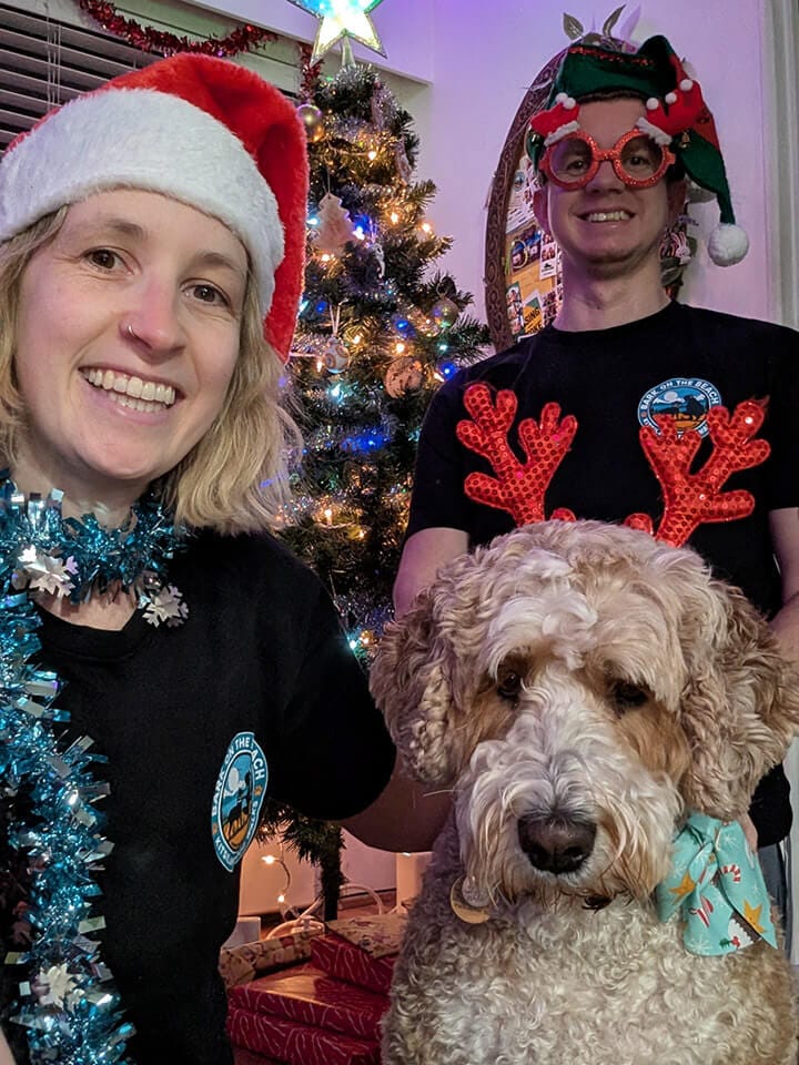 About Bark on the Beach