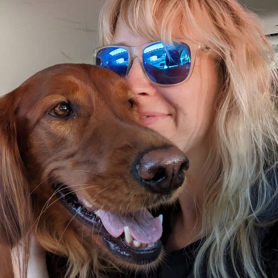 overnight-boarding Bark on the Beach - Overnight Boarding