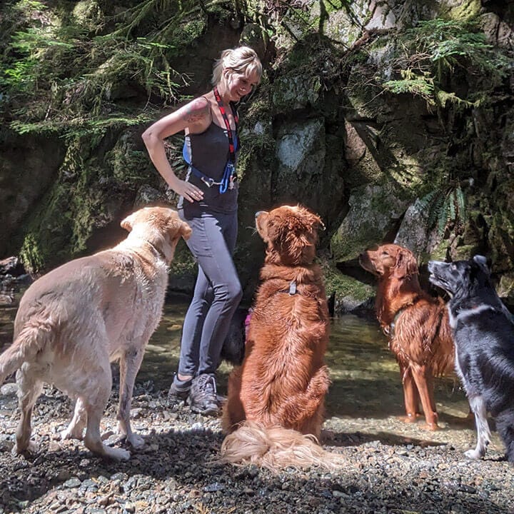 pack-walk Bark on the Beach - Pack Walk